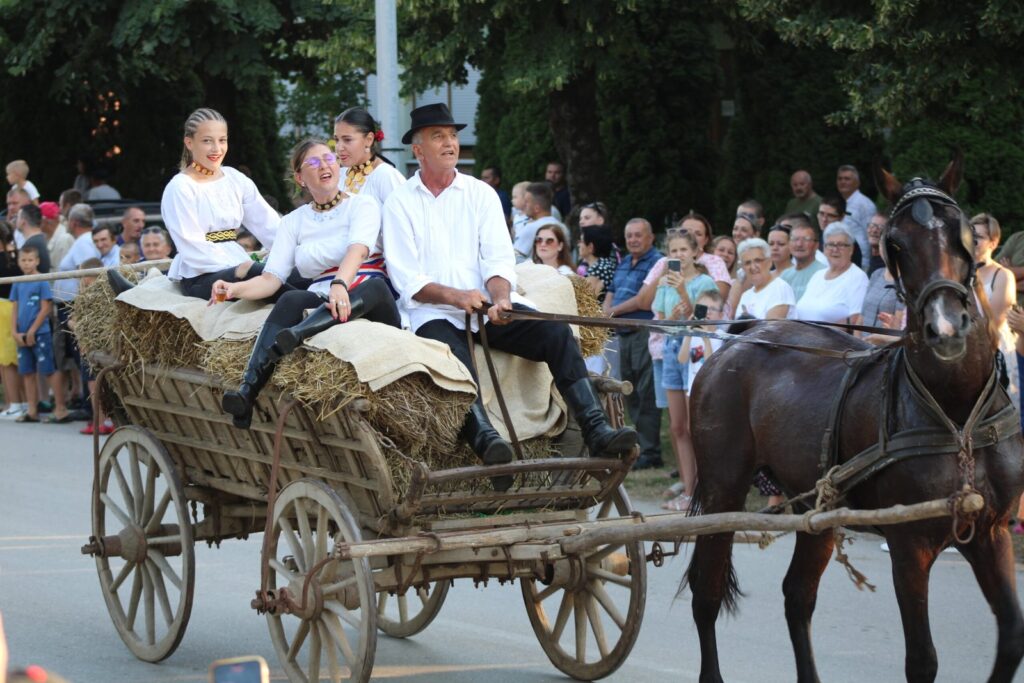 Konjska zaprega s djevojkama u narodnim nošnjama na sijenu – Žetvene svečanosti u Cerni