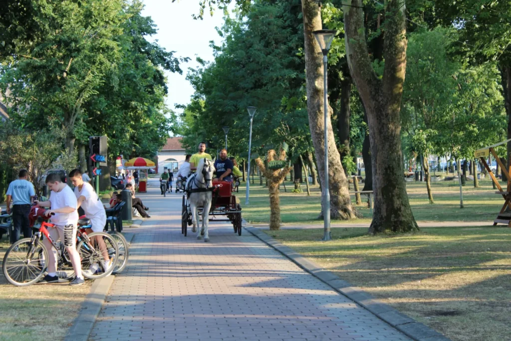 Povorka konja i zaprega kroz Cernu — 45. Žetvene svečanosti u Cerni, 20.07.2024.