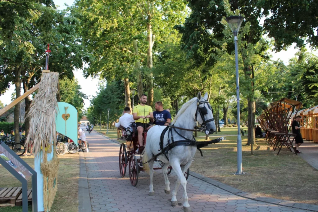 Povorka konja i zaprega kroz Cernu — 45. Žetvene svečanosti u Cerni, 20.07.2024.