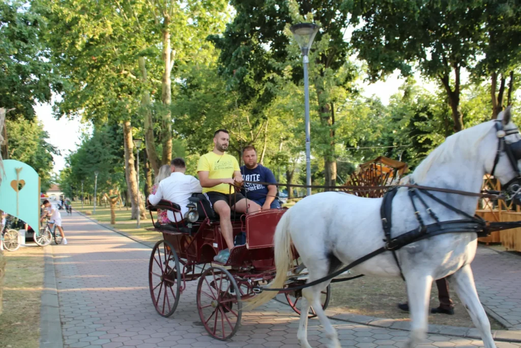Povorka konja i zaprega kroz Cernu — 45. Žetvene svečanosti u Cerni, 20.07.2024.